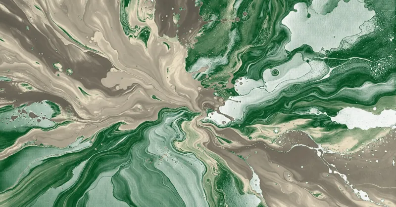 Bucks Nightly artwork