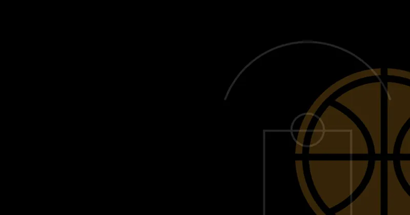 Bulls Nightly artwork
