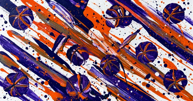 Suns Nightly artwork