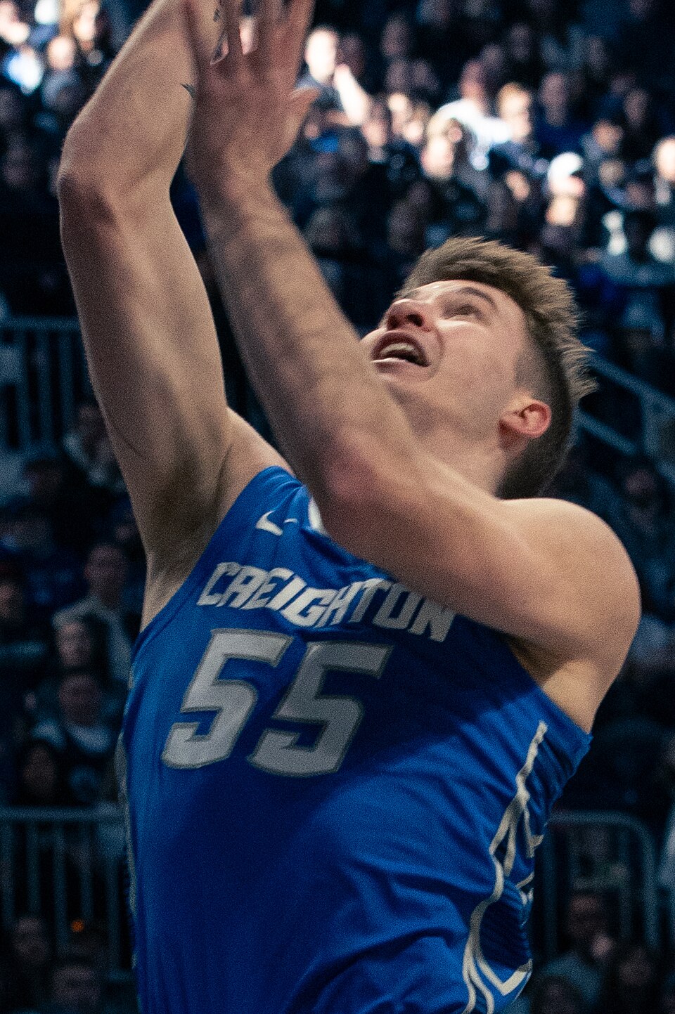 Baylor Scheierman