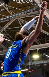 Jameer Nelson Jr.