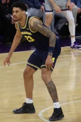 Yaxel Lendeborg