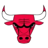 bulls logo